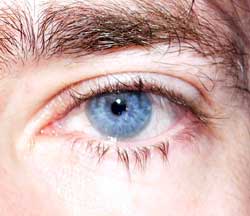 Profil de Steeve