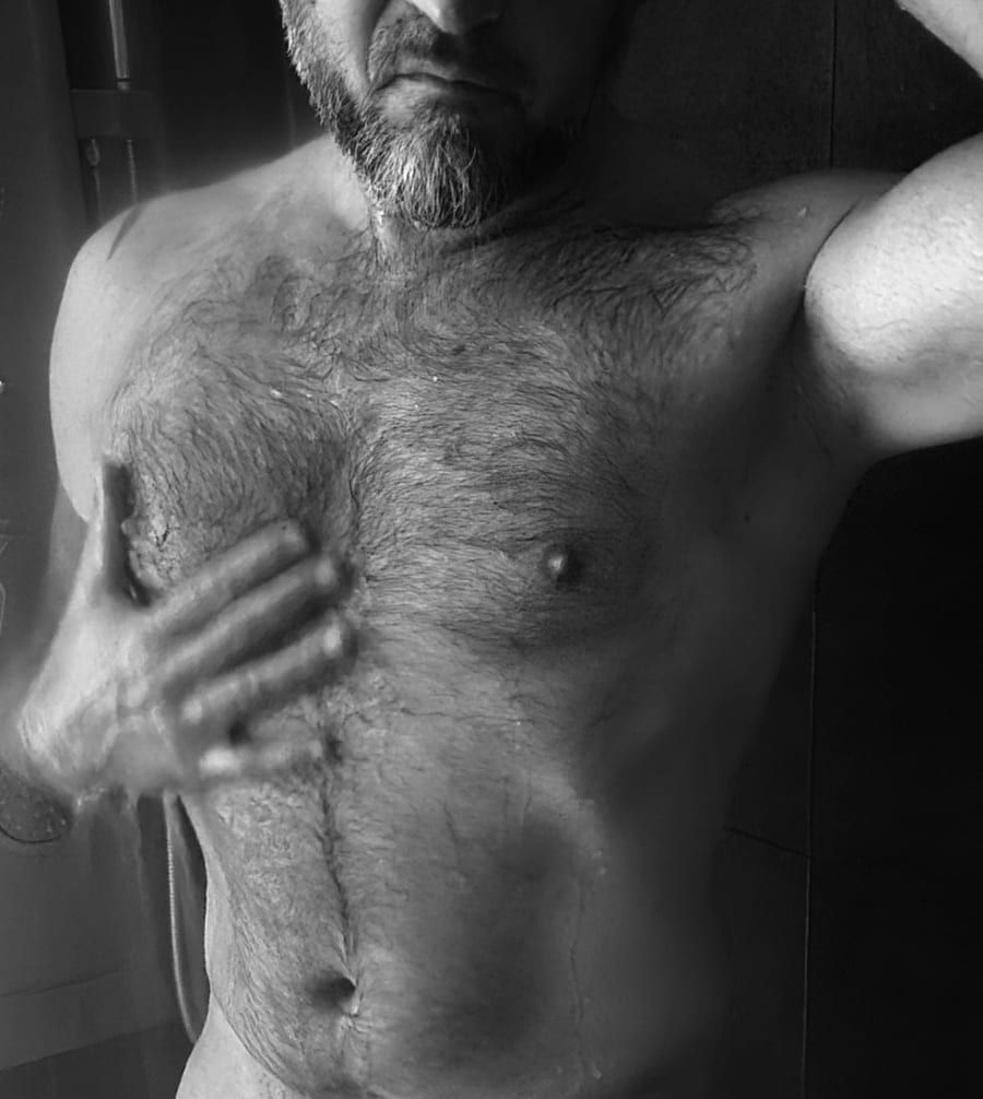 Profil de Orphee